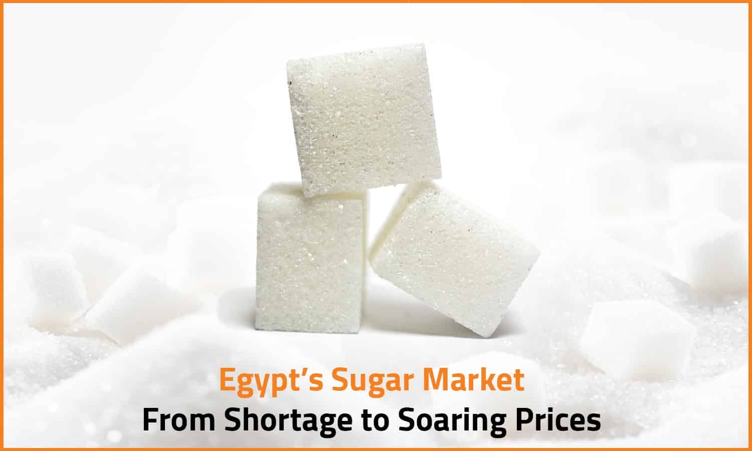 Egypt’s Sugar Market: From Shortage to Soaring Prices